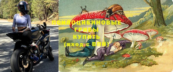 ALPHA PVP Надым
