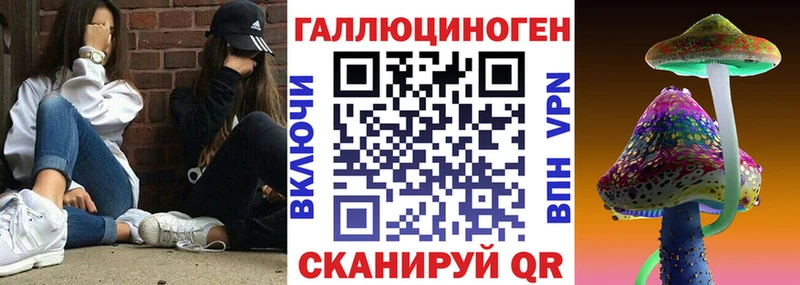 Псилоцибиновые грибы Psilocybe  Купить закладки  Усть-Кут 